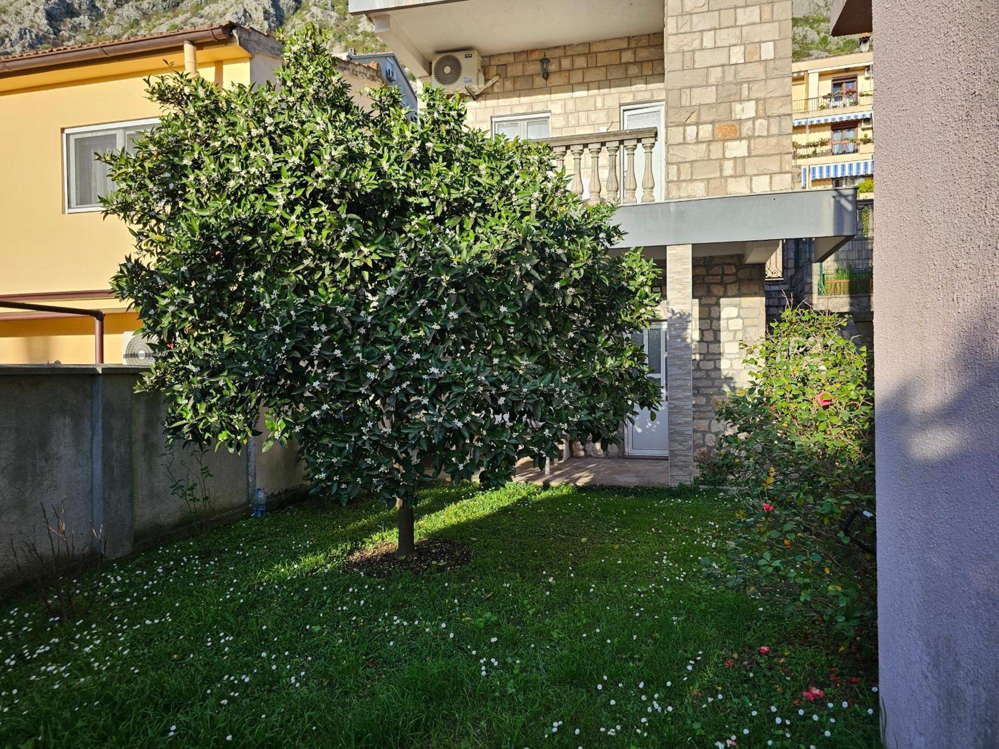 Modern Seaside Escape - Stunning Sea View - Private & Stylish Apartment Kotor Exterior photo